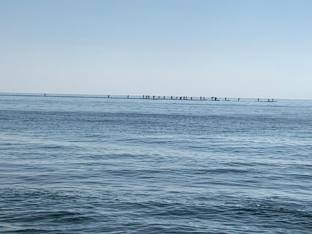 Apartamentoen La Playa, 200 Mts De La Playa Nuevo Santa Pola Zewnętrze zdjęcie