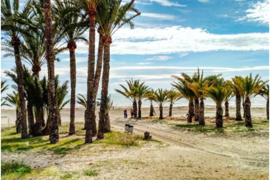 Apartamentoen La Playa, 200 Mts De La Playa Nuevo Santa Pola Zewnętrze zdjęcie